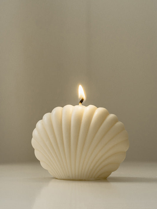 Seashell Candle | Soy Aromatherapy Candle for Home Decor, Bath, and Special Occasions